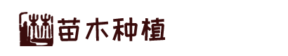 尊龙开户平台